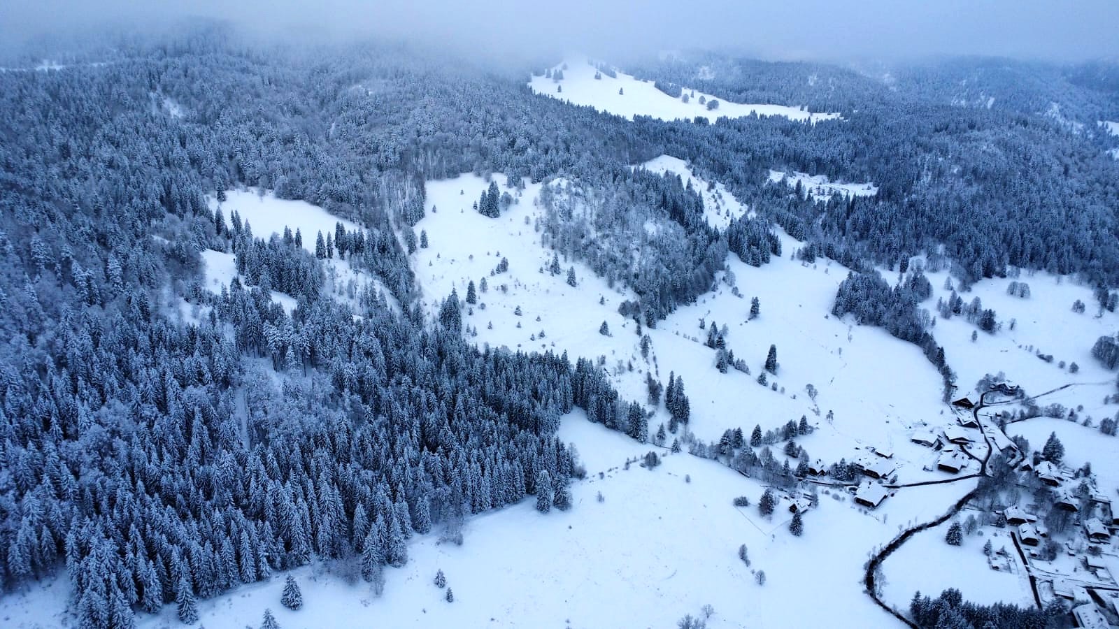 Schwarzwald Landschaft
