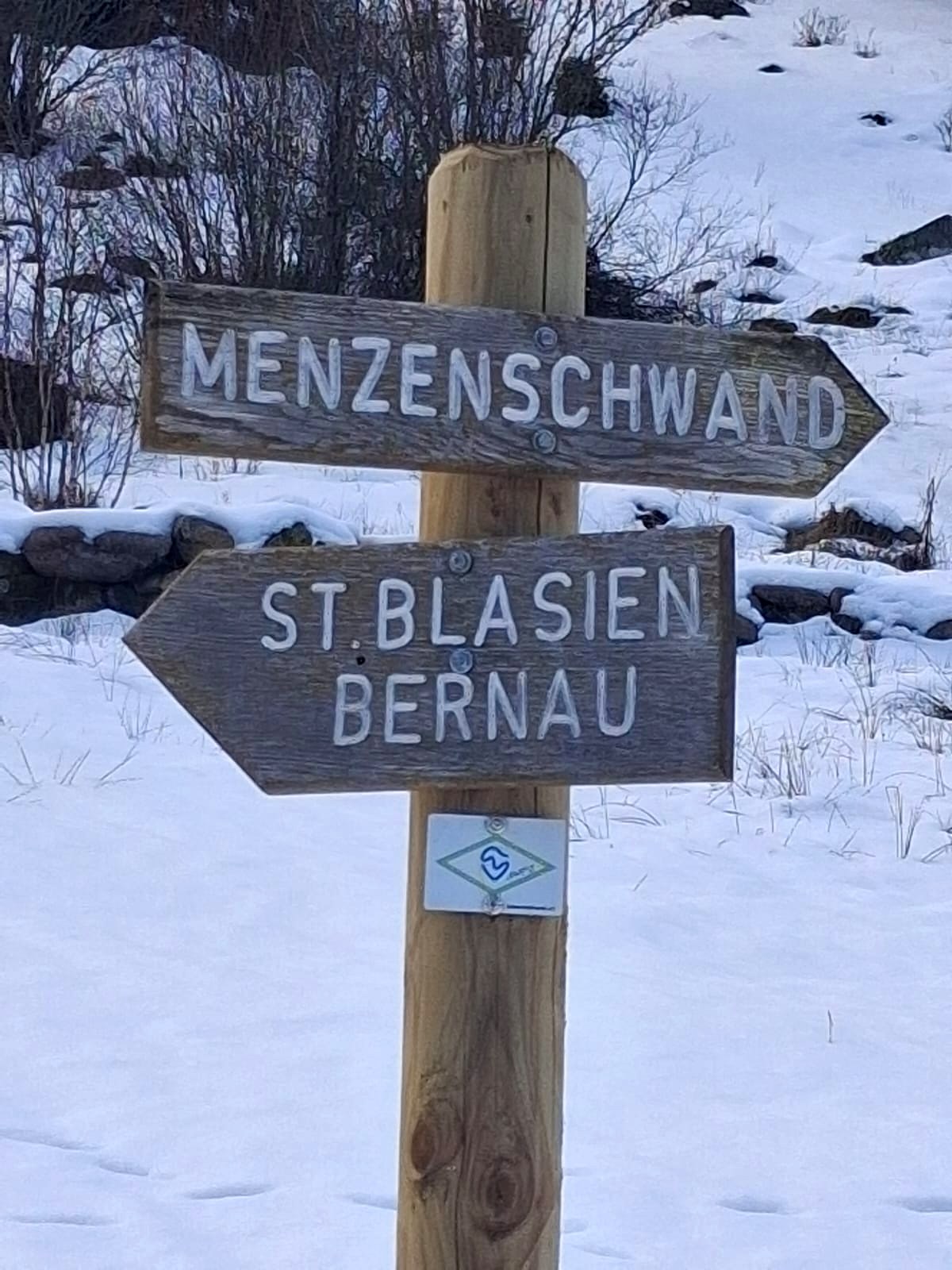 Menzenschwand 864m